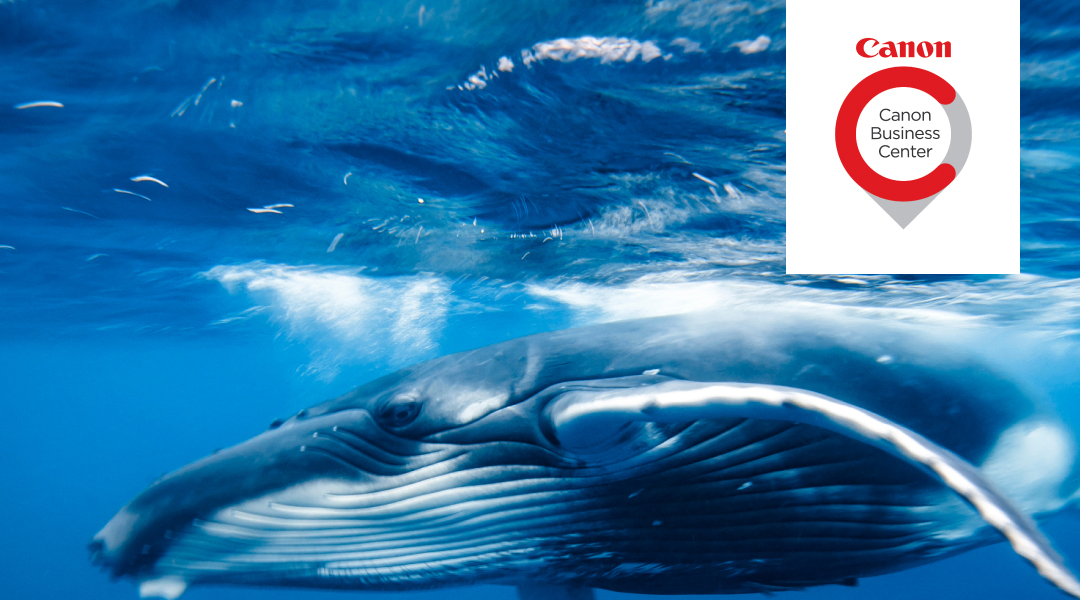INVID Tecknar Samarbetsavtal Med Canon Business Center 1 2