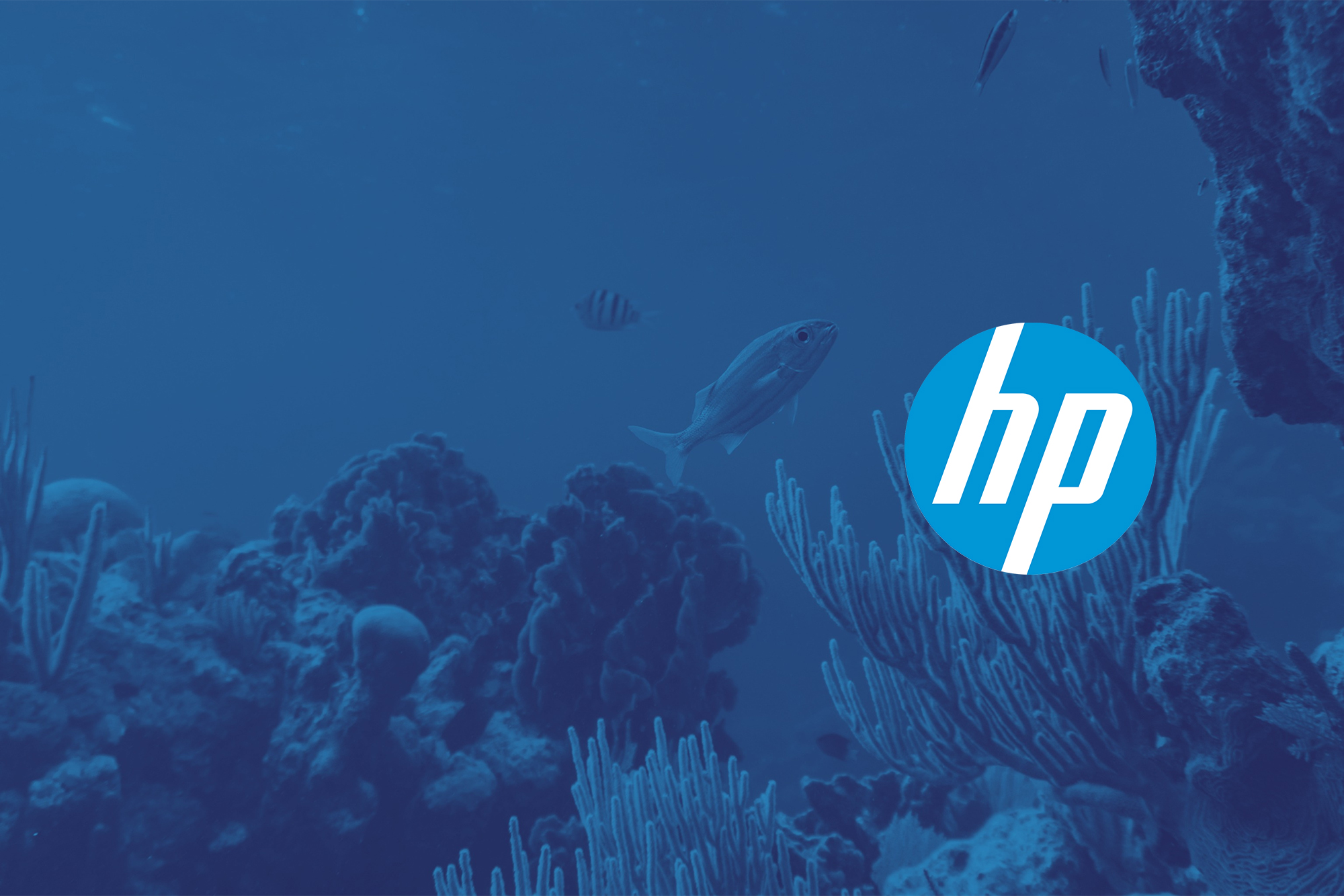 20230201 HP Kampanj 1