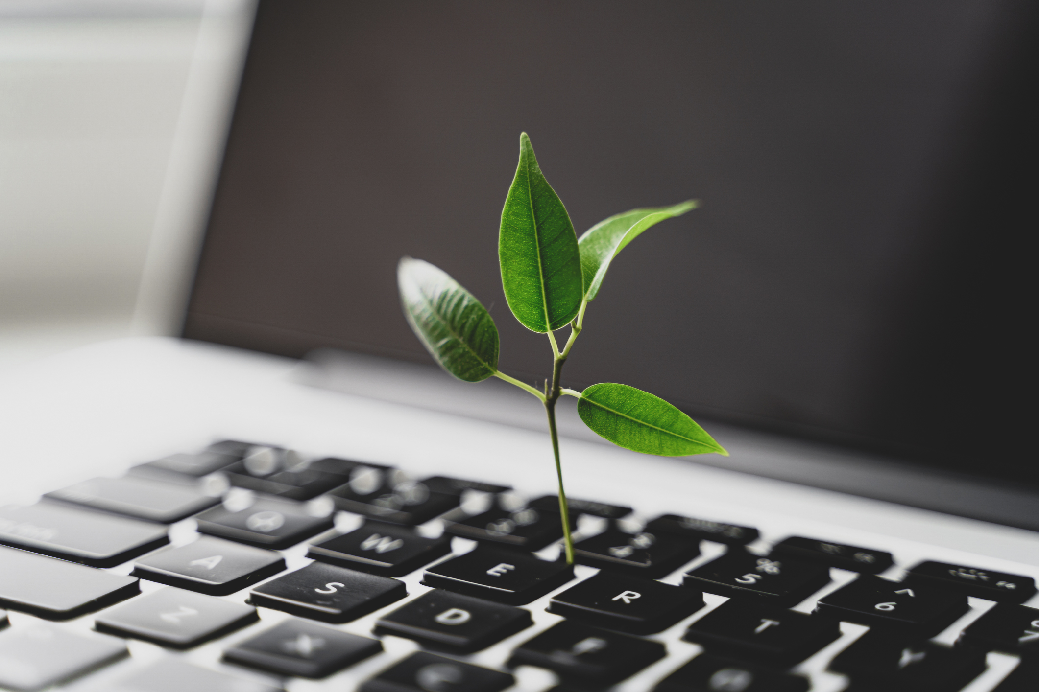 202510 Återtagserbjudande